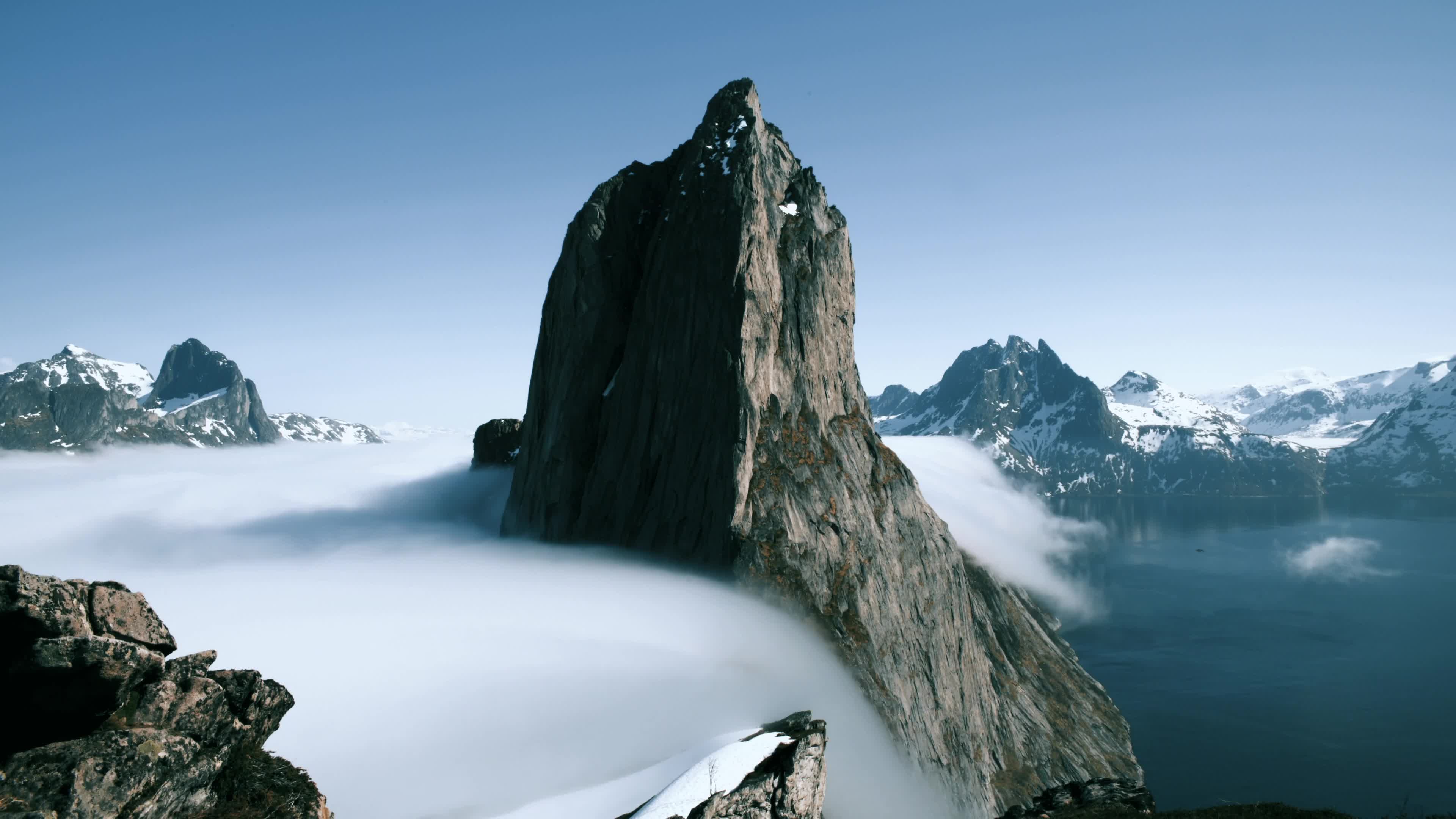 Pexels Videos 2334654